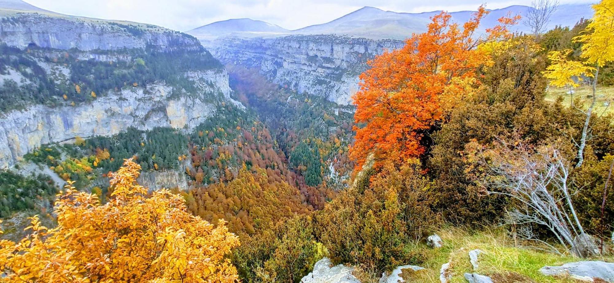 Гостьовий будинок Casa Pirinea Ordesa Belsierre Екстер'єр фото