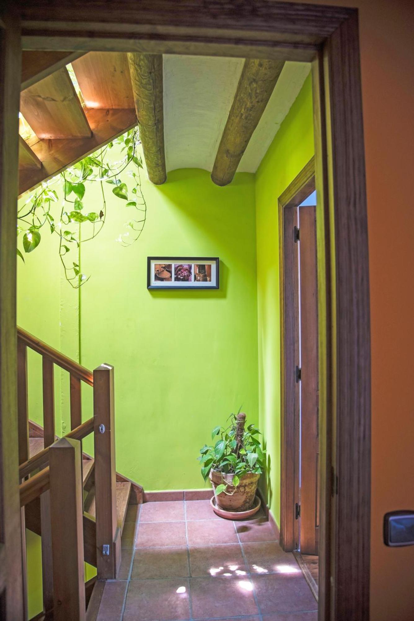 Гостьовий будинок Casa Pirinea Ordesa Belsierre Екстер'єр фото